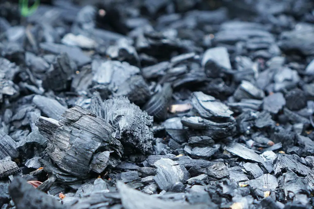 Detailed close-up of rough charcoal pieces spread outdoors, showcasing texture.